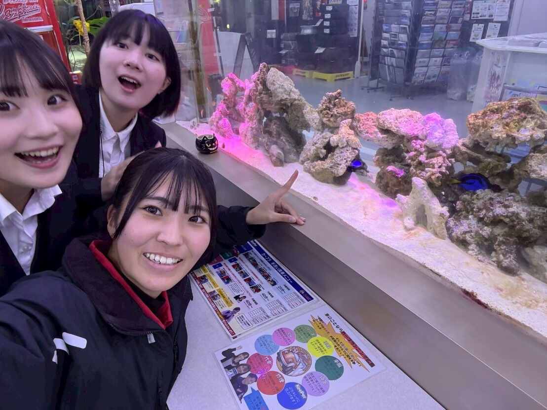 こんにちは！