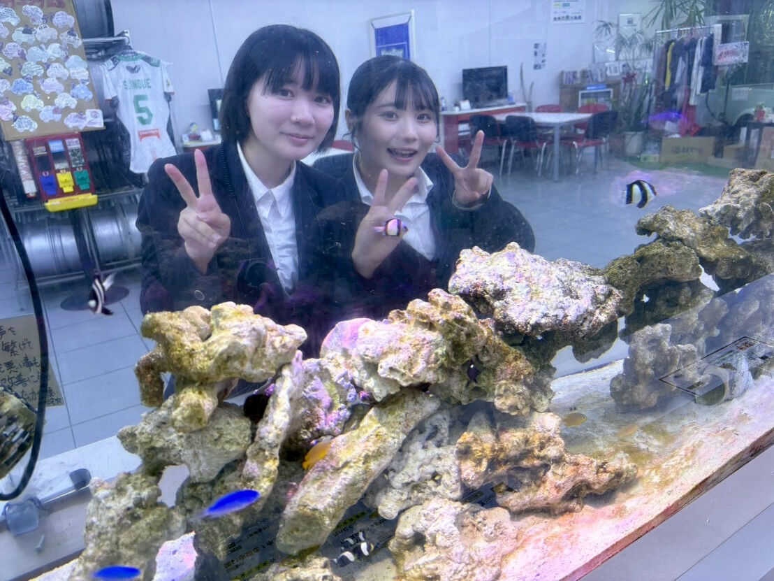 こんにちは！