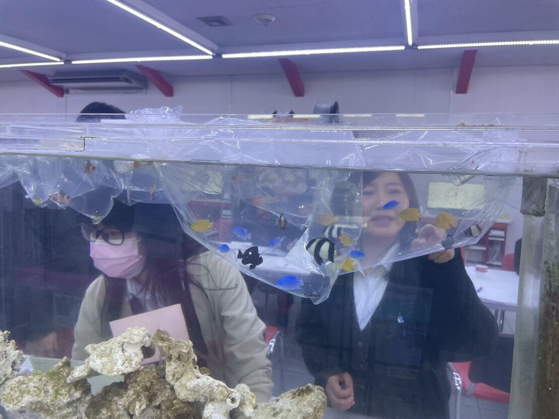 こんにちは！