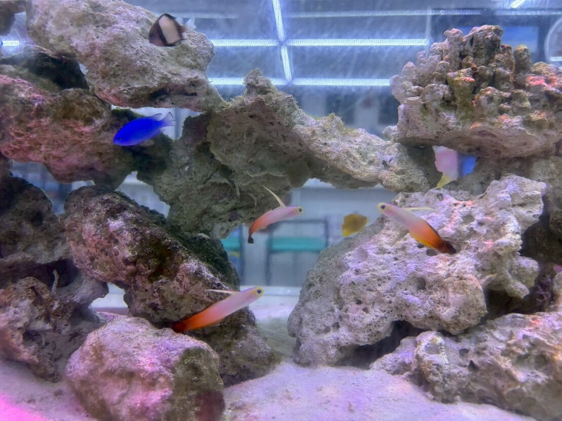 こんにちは！